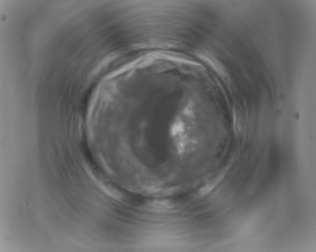 X0000075900157200610062126