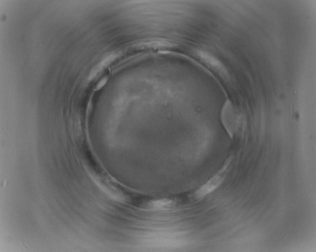 X0000075900158200610062126