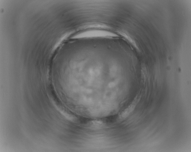 X0000075900159200610062126