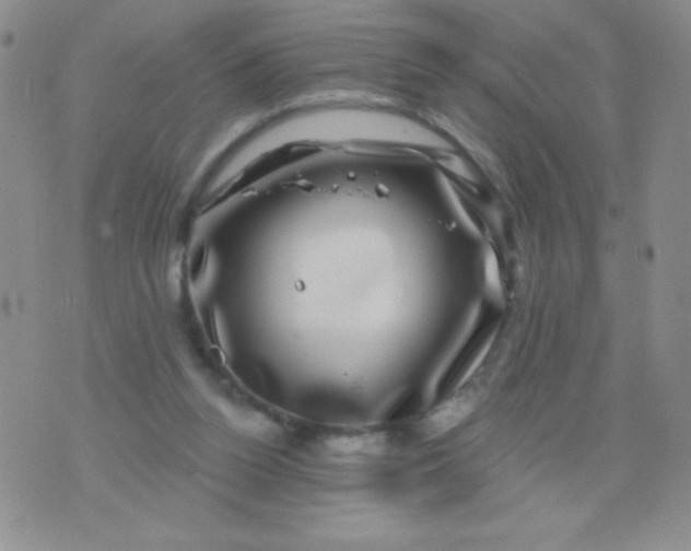 X0000075900160200610062126