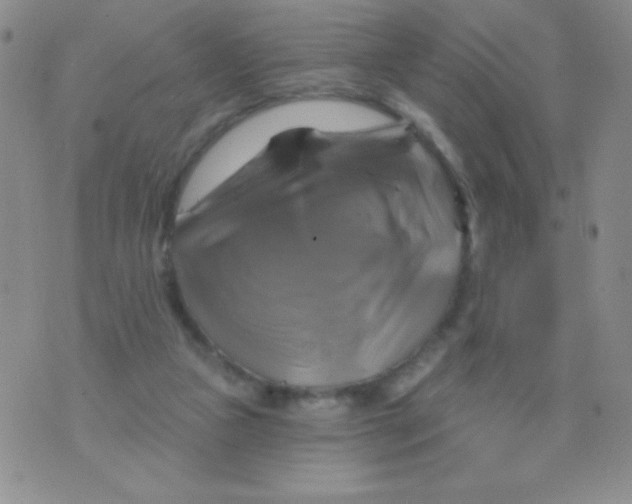 X0000075900161200610062126