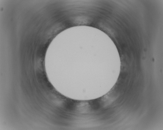 X0000075900162200610062126