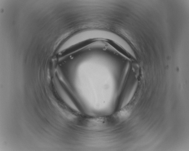 X0000075900164200610062126