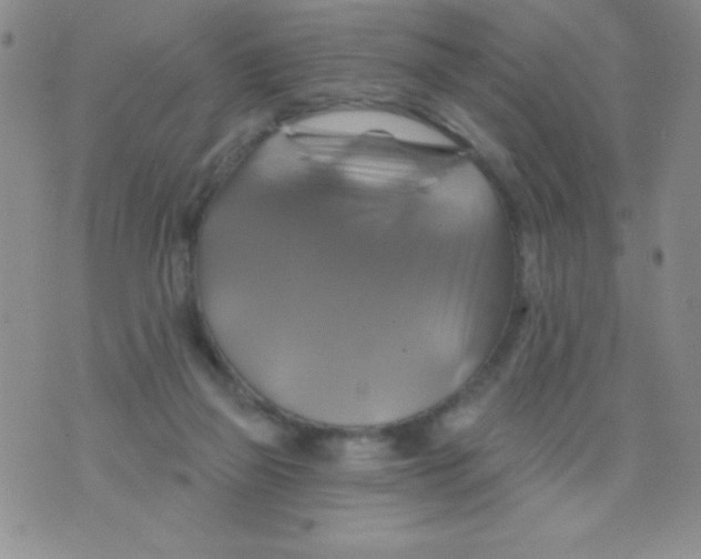 X0000075900165200610062126