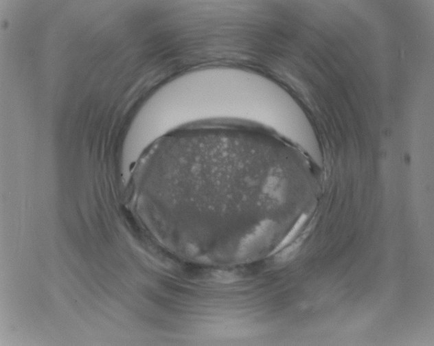 X0000075900166200610062126