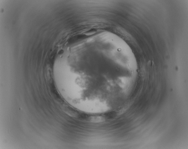 X0000075900169200610062127