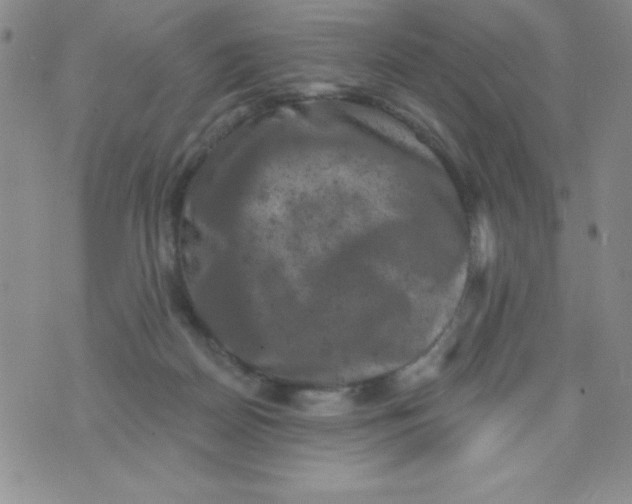 X0000075900170200610062127