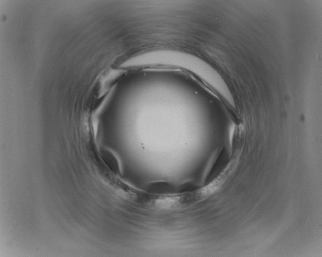 X0000075900172200610062127