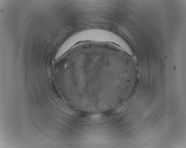 X0000075900173200610062127