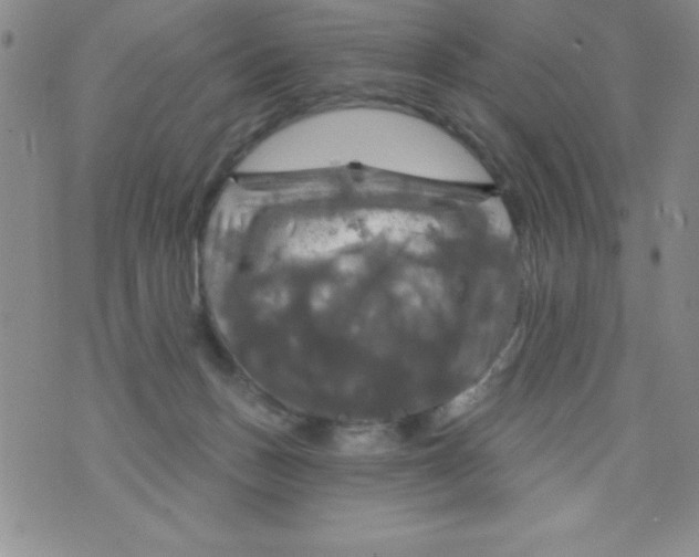 X0000075900175200610062127