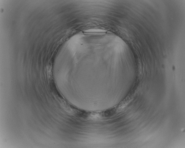 X0000075900177200610062127