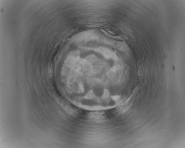 X0000075900179200610062127