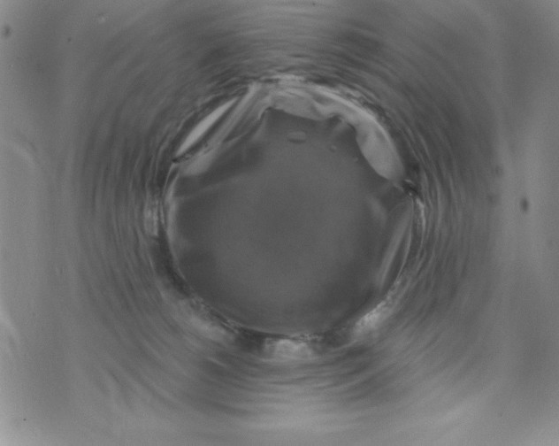 X0000075900180200610062127