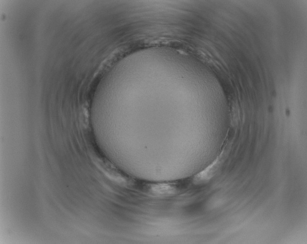 X0000075900183200610062127