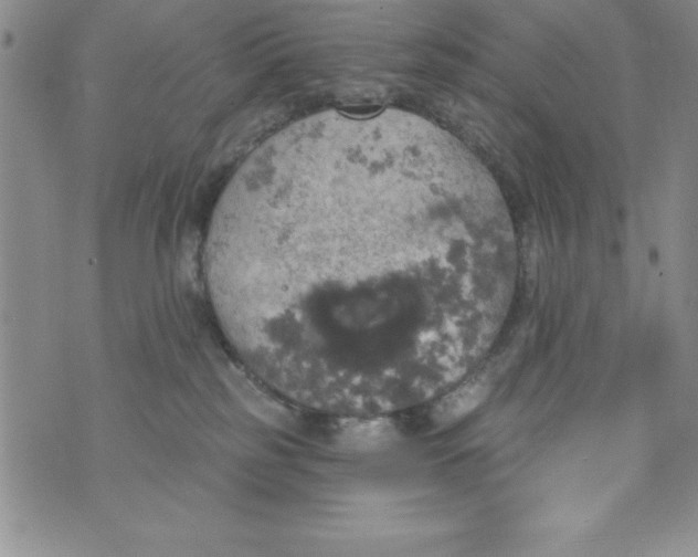 X0000075900185200610062127