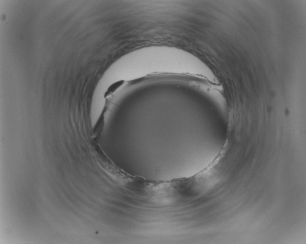 X0000075900186200610062127