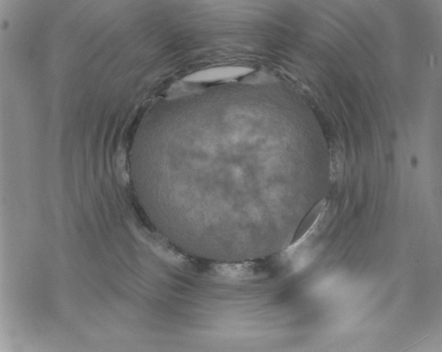 X0000075900187200610062127