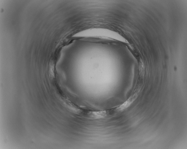 X0000075900188200610062127