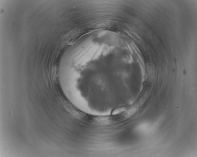 X0000075900189200610062127