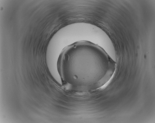 X0000075900190200610062127