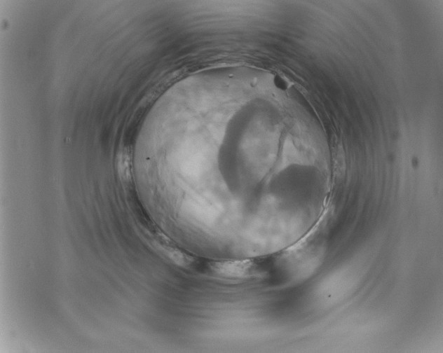 X0000075900191200610062127