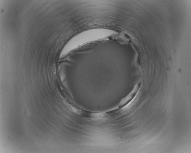 X0000075900192200610062127