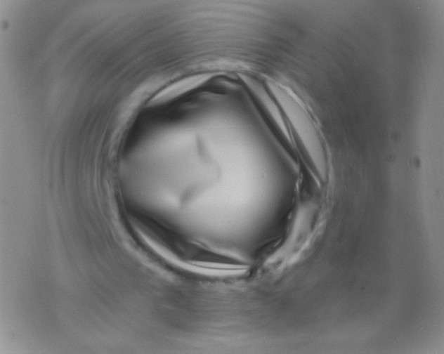 X0000075900193200610062126