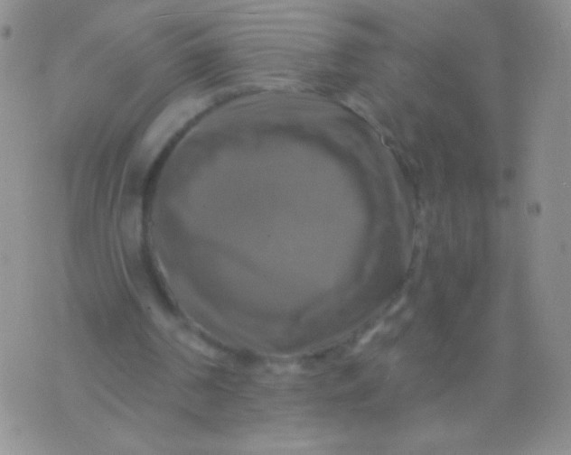 X0000075900194200610062126