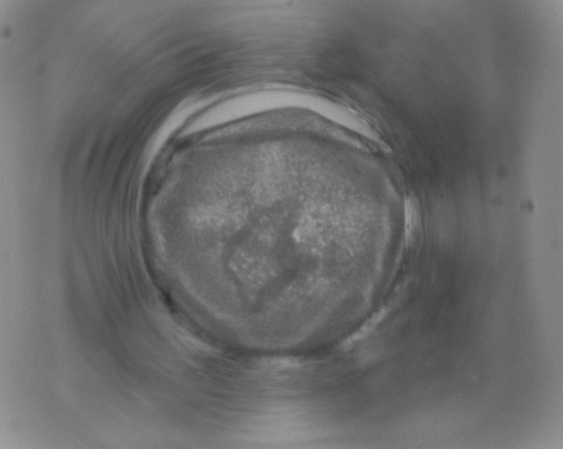 X0000075900195200610062126