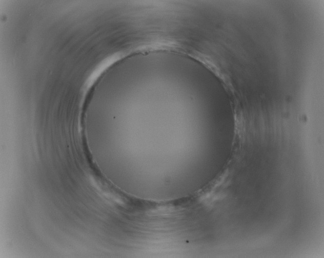 X0000075900196200610062126