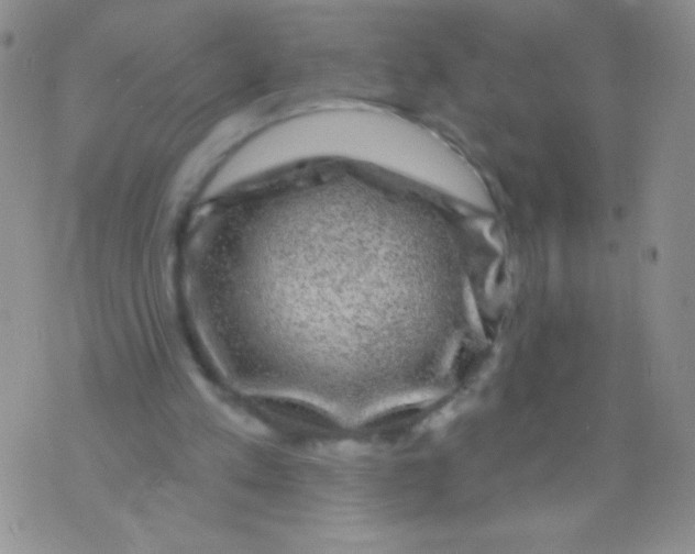 X0000075900197200610062126