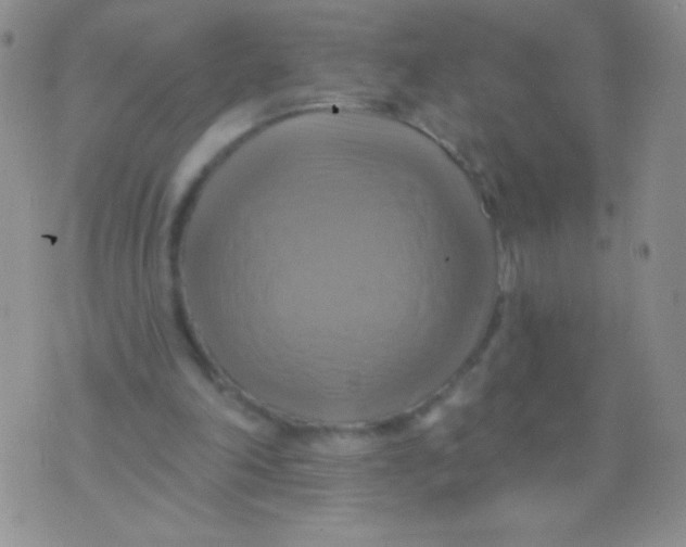 X0000075900198200610062126