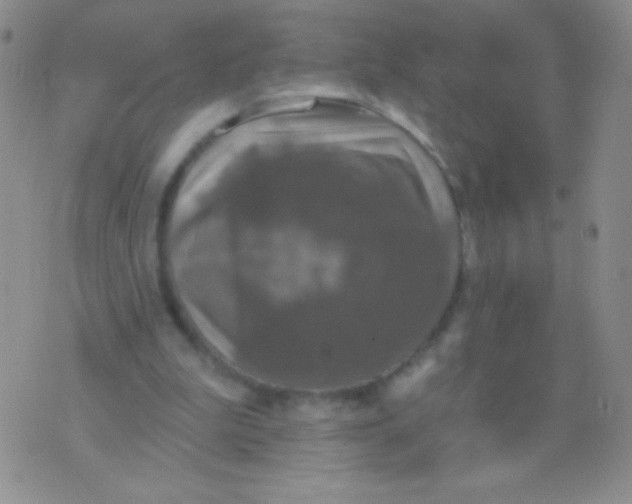 X0000075900199200610062126