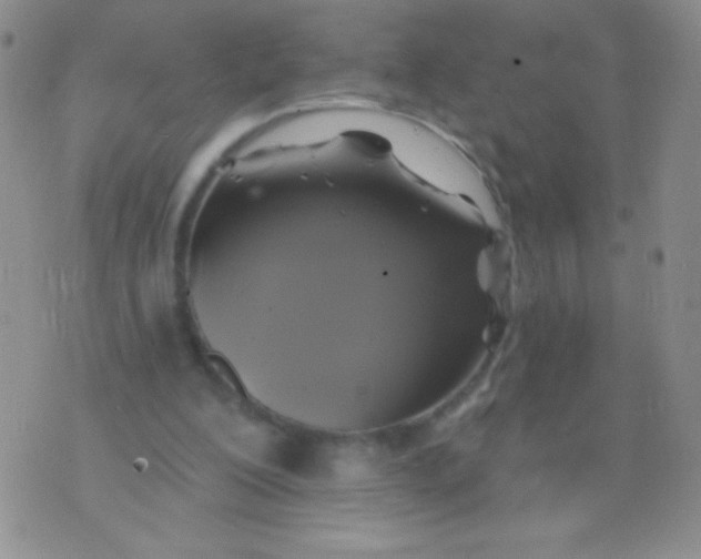 X0000075900200200610062126