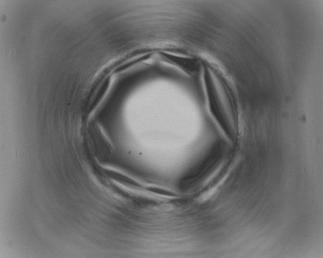 X0000075900201200610062126