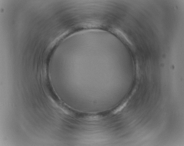 X0000075900202200610062126