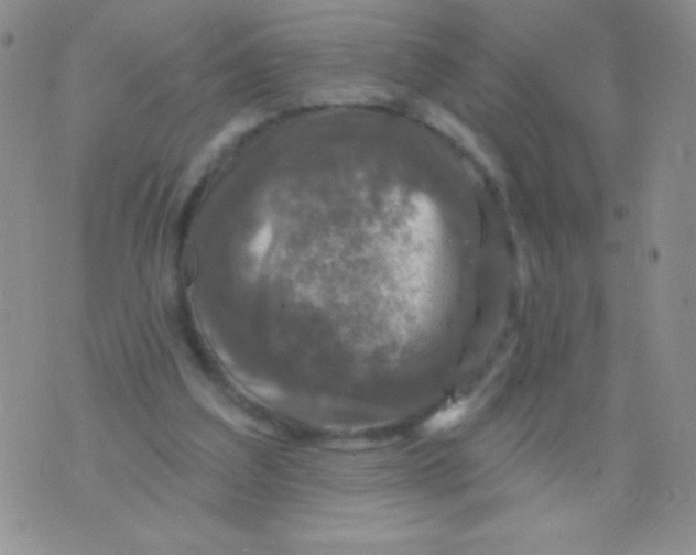 X0000075900203200610062126