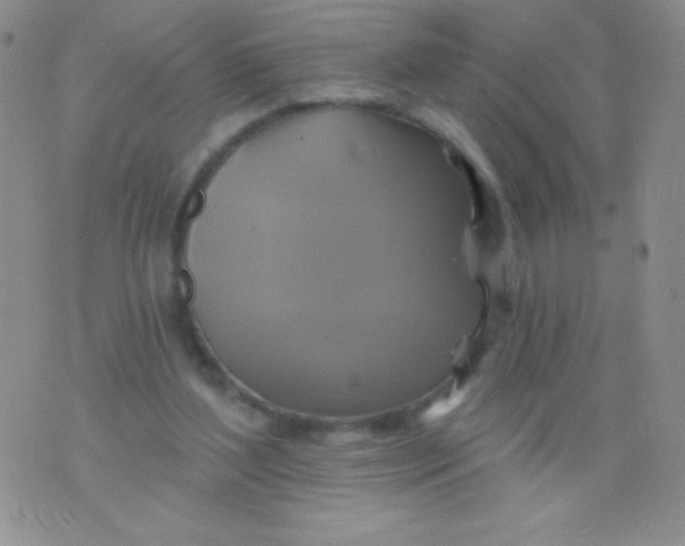 X0000075900204200610062126