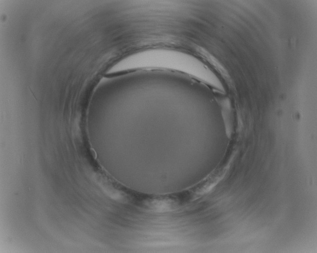 X0000075900209200610062126