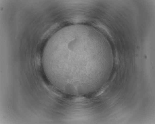 X0000075900210200610062126