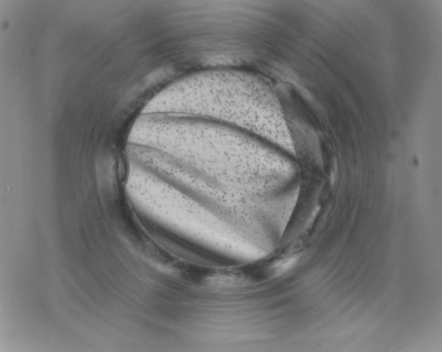 X0000075900211200610062126