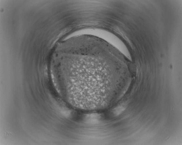 X0000075900212200610062126