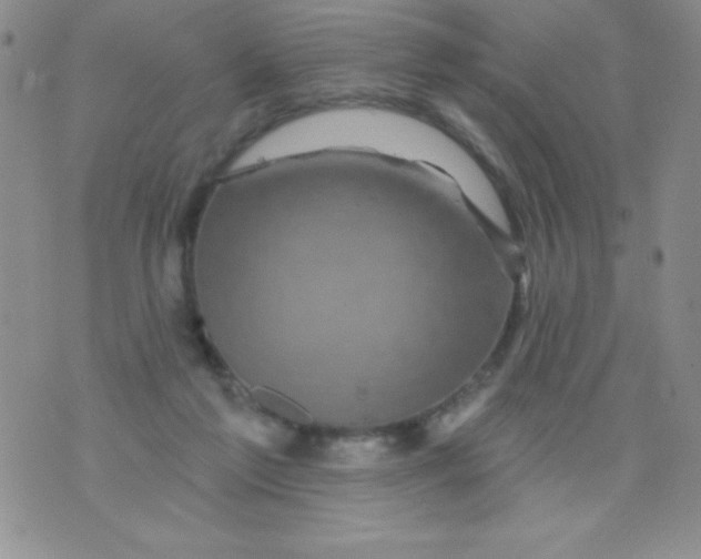 X0000075900213200610062126