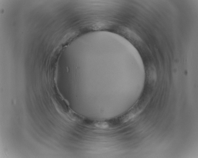 X0000075900214200610062126