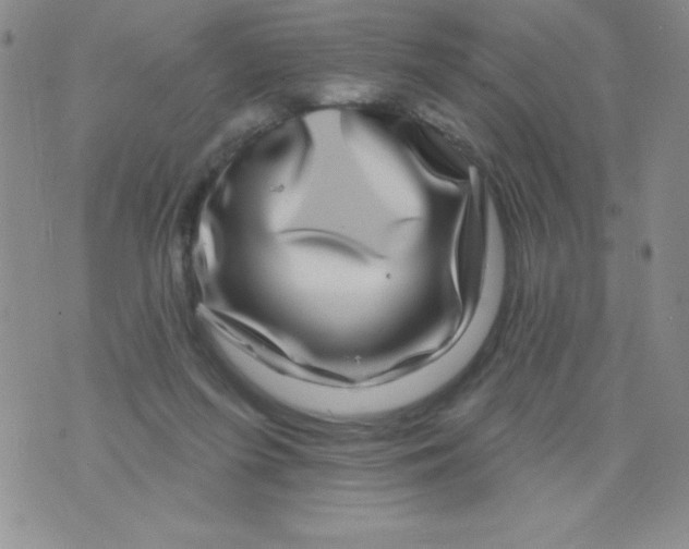 X0000075900215200610062126