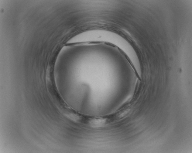 X0000075900217200610062126