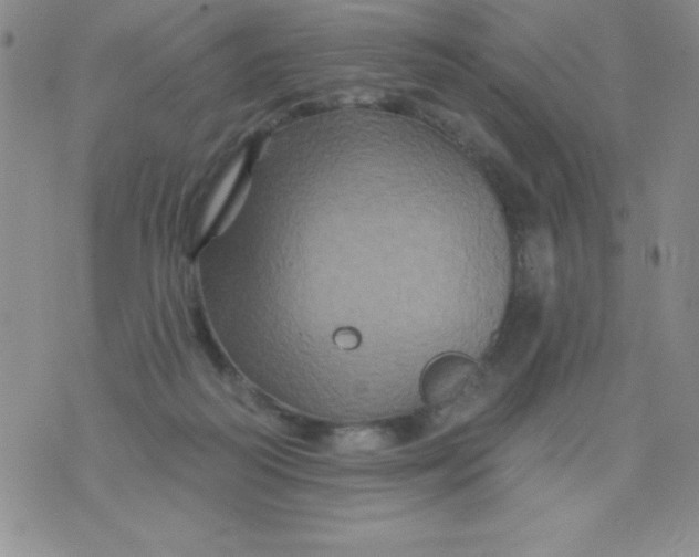 X0000075900218200610062126