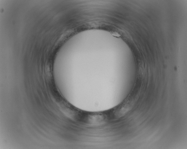 X0000075900220200610062126