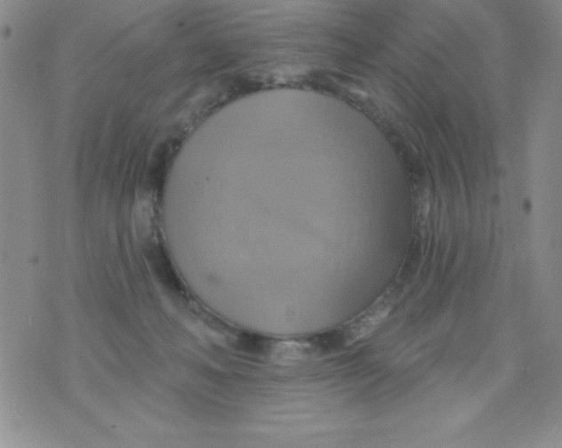 X0000075900222200610062126