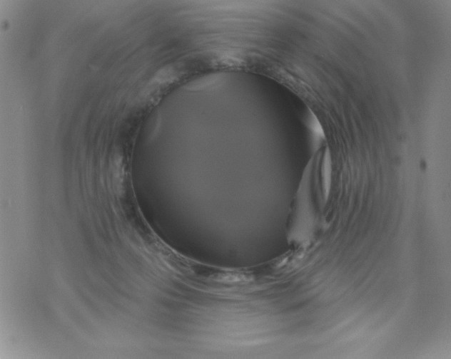 X0000075900223200610062126